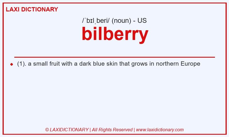 Definition bilberry in American English