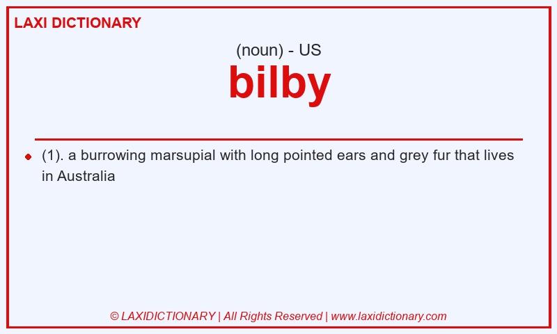 Definition bilby in American English