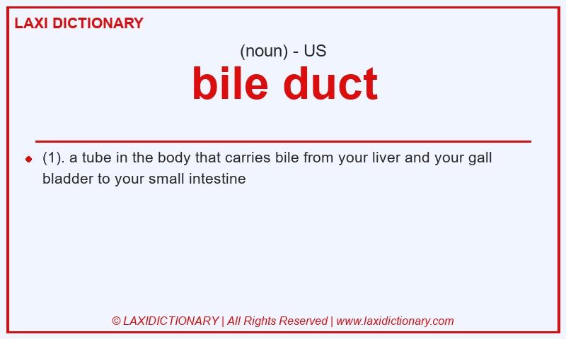 Definition bile duct in American English