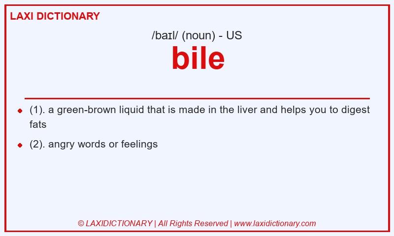 Definition bile in American English