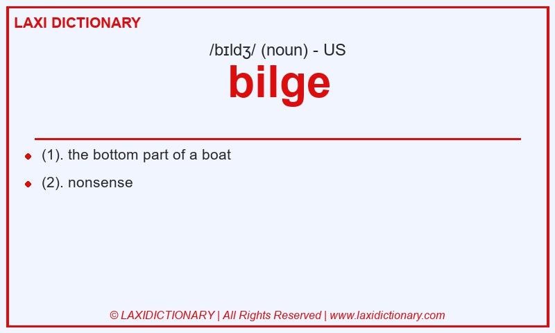Definition bilge in American English