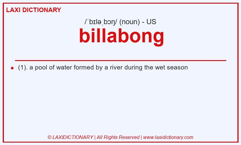 Definition billabong in American English