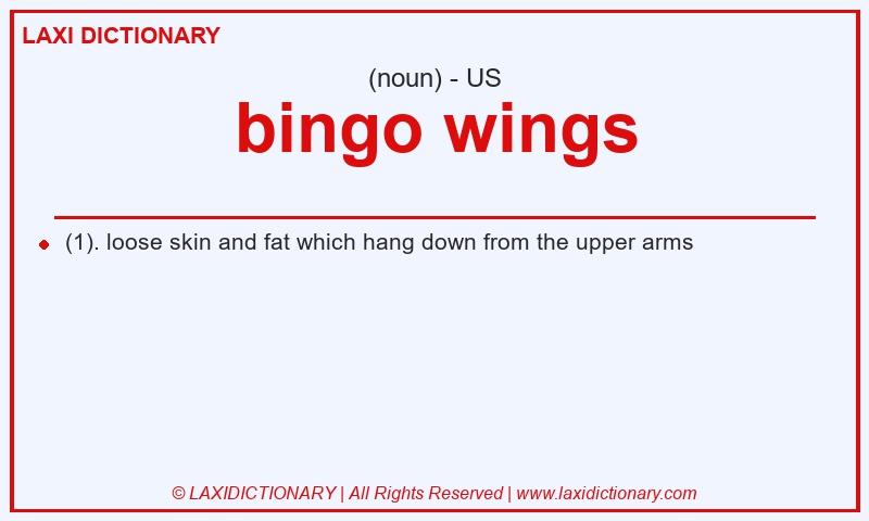Definition bingo wings in American English