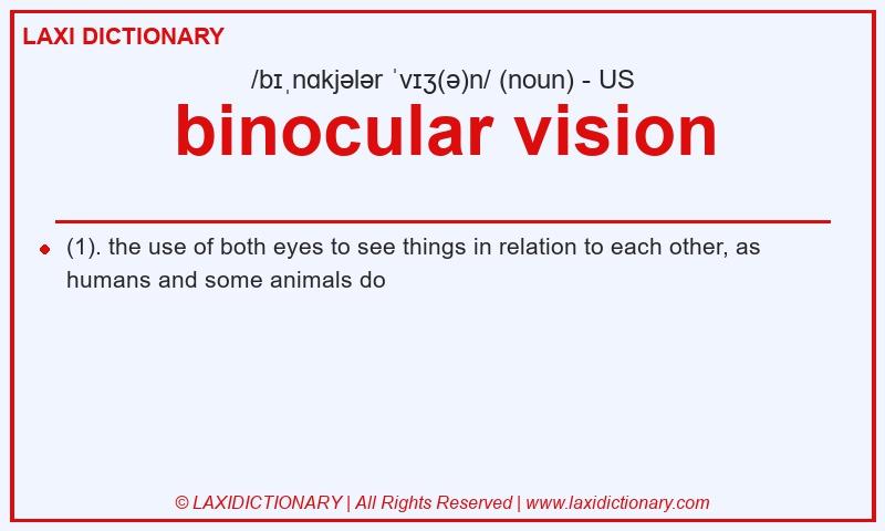 Definition binocular vision in American English