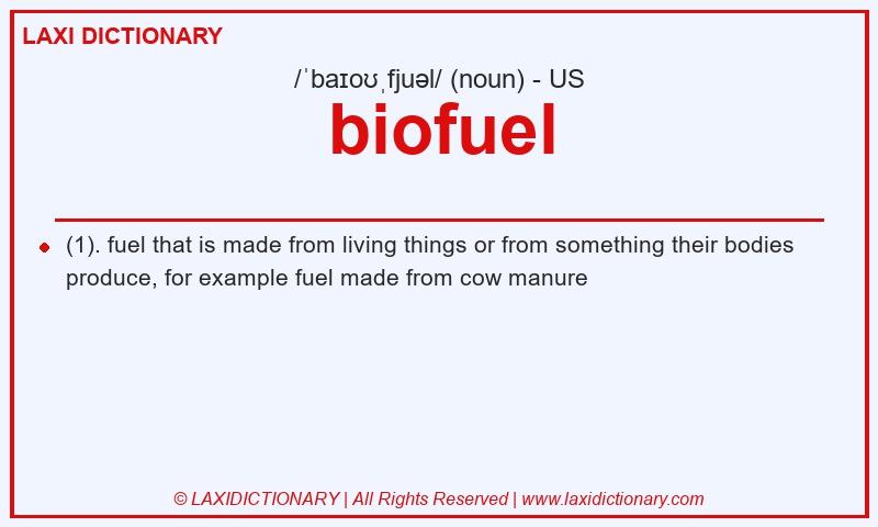 Definition biofuel in American English