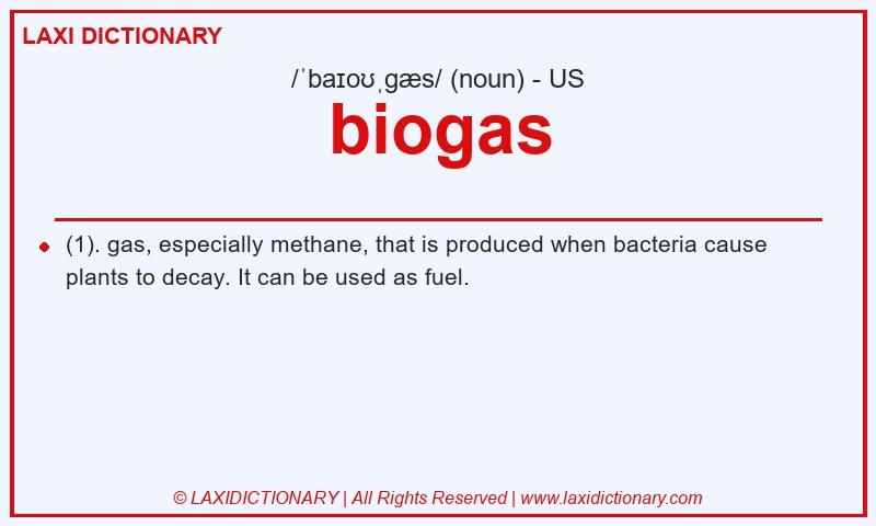 Definition biogas in American English
