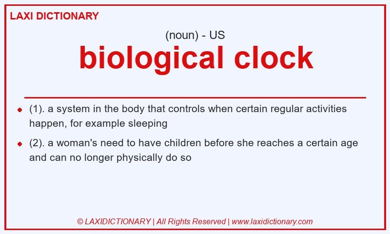Definition biological clock in American English