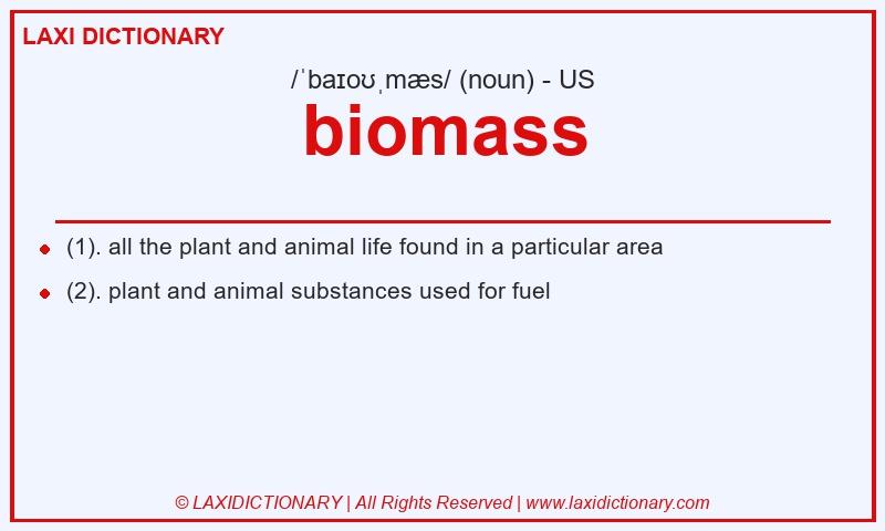Definition biomass in American English