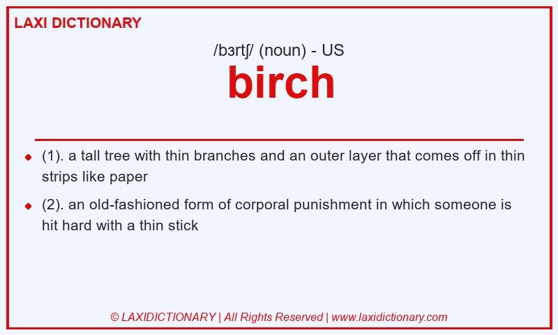 Definition birch in American English