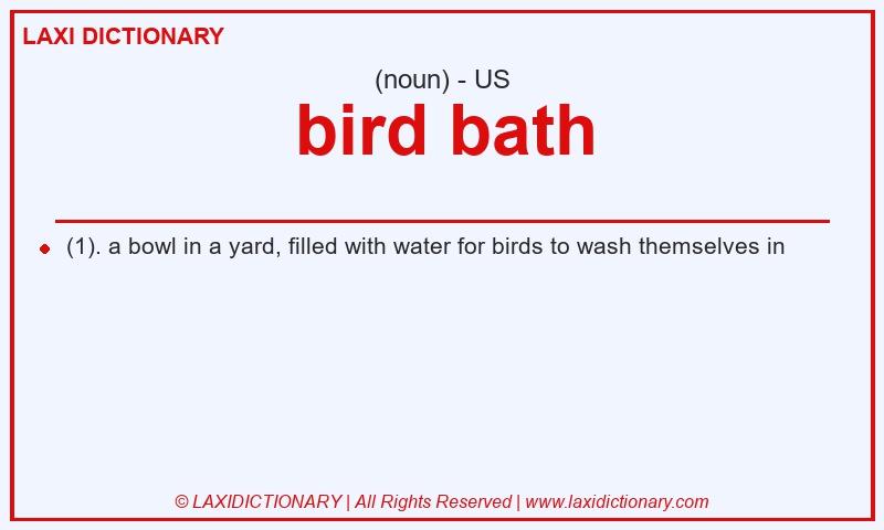 Definition bird bath in American English