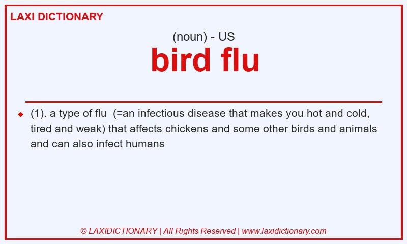 Definition bird flu in American English