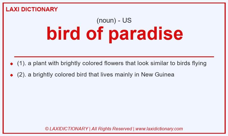 Definition bird of paradise in American English