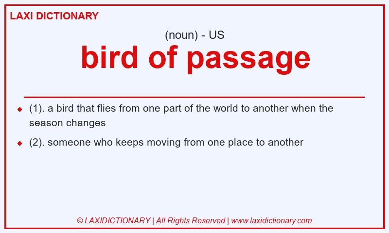 Definition bird of passage in American English