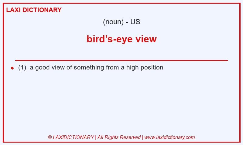 Definition bird’s-eye view in American English