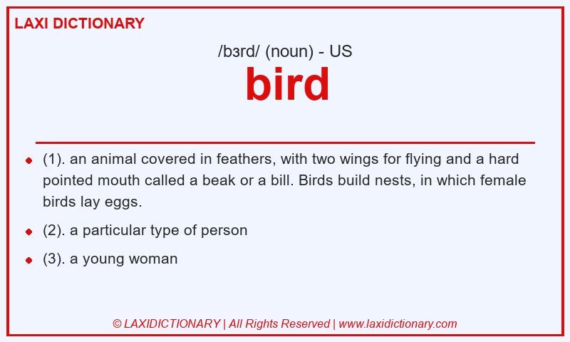 Definition bird in American English