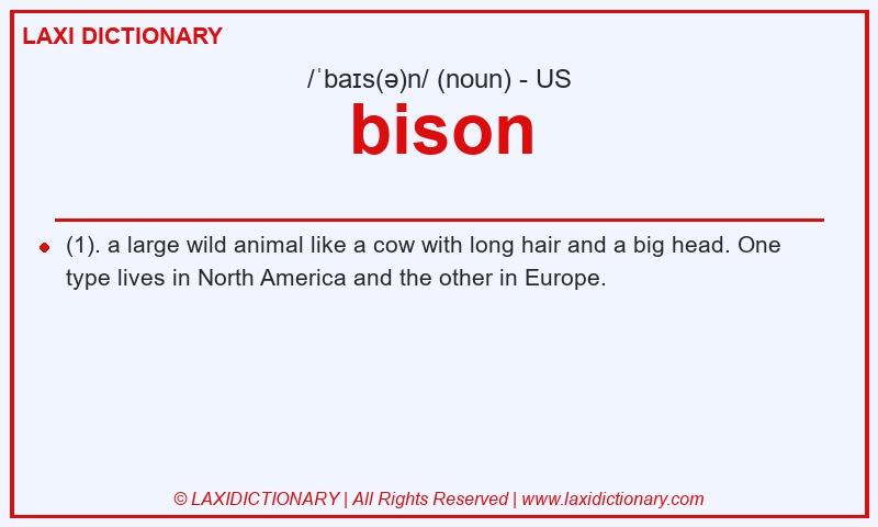 Definition bison in American English