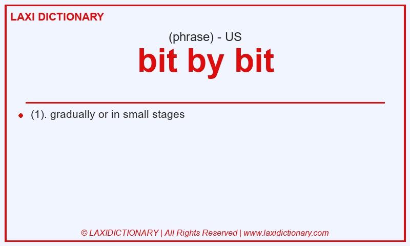 Definition bit by bit in American English