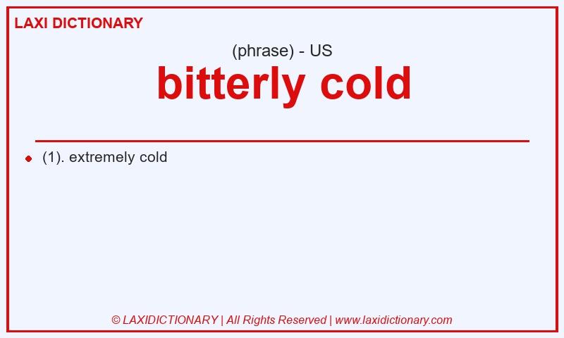 Definition bitterly cold in American English
