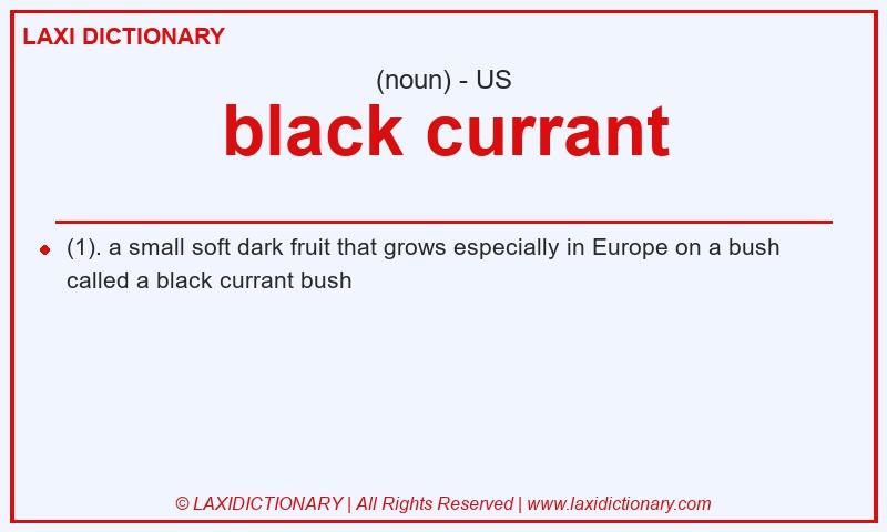 Definition black currant in American English