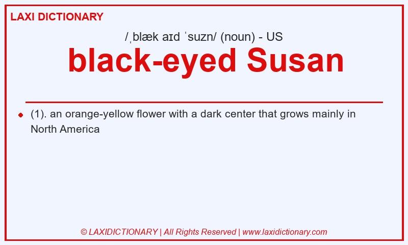 Definition black-eyed Susan in American English