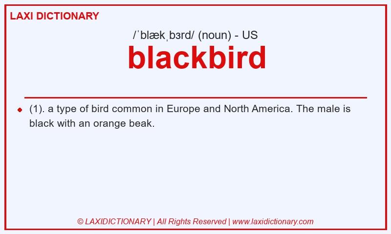 Definition blackbird in American English