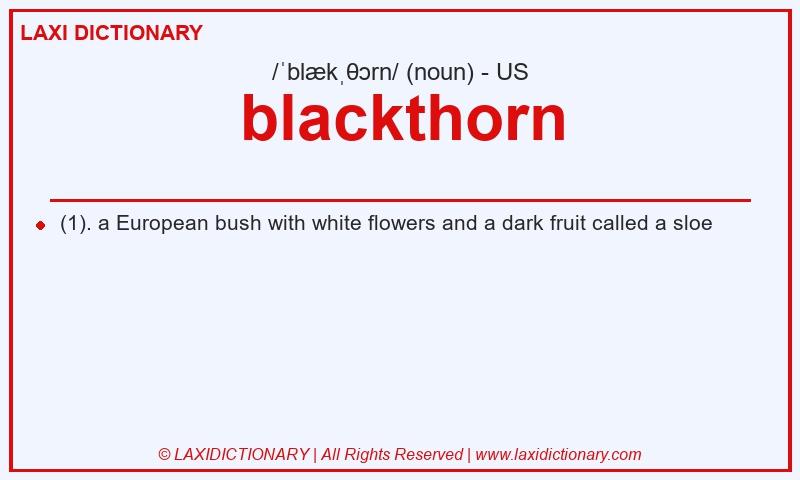 Definition blackthorn in American English