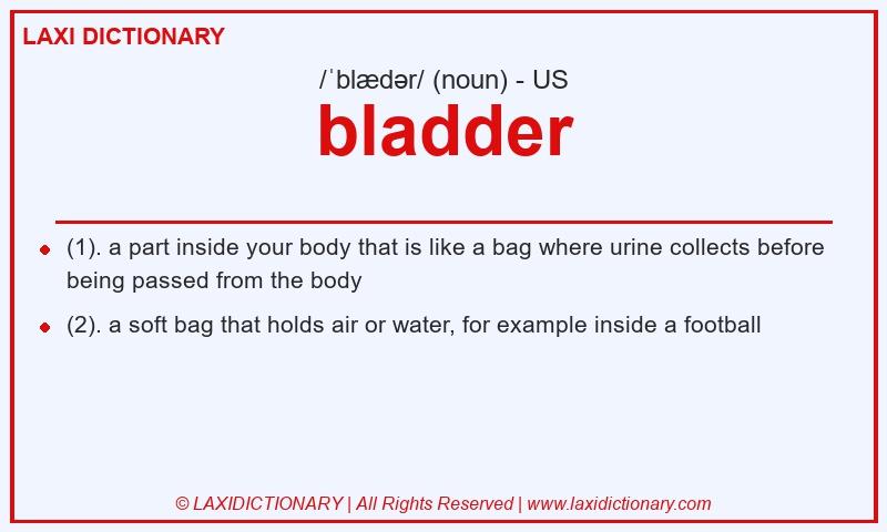 Definition bladder in American English