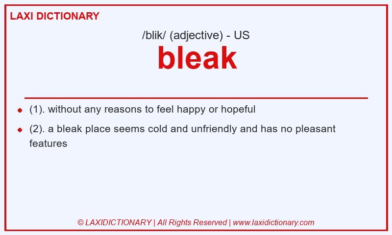 Definition bleak in American English