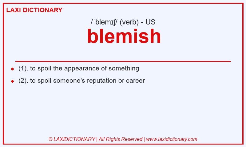 Definition blemish in American English