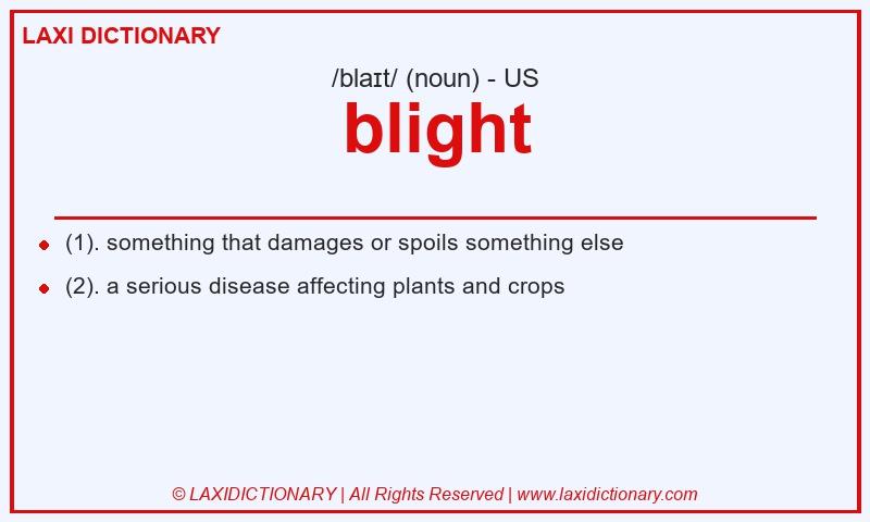 Definition blight in American English