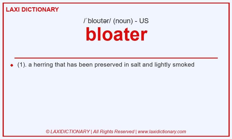 Definition bloater in American English