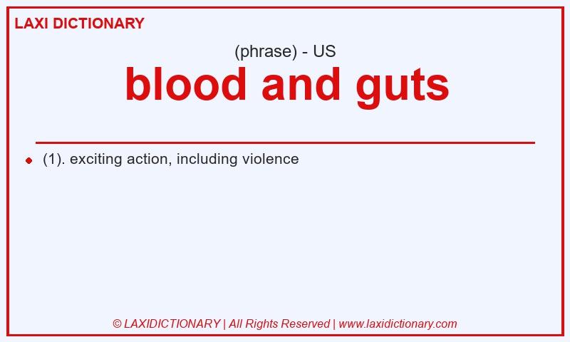 Definition blood and guts in American English
