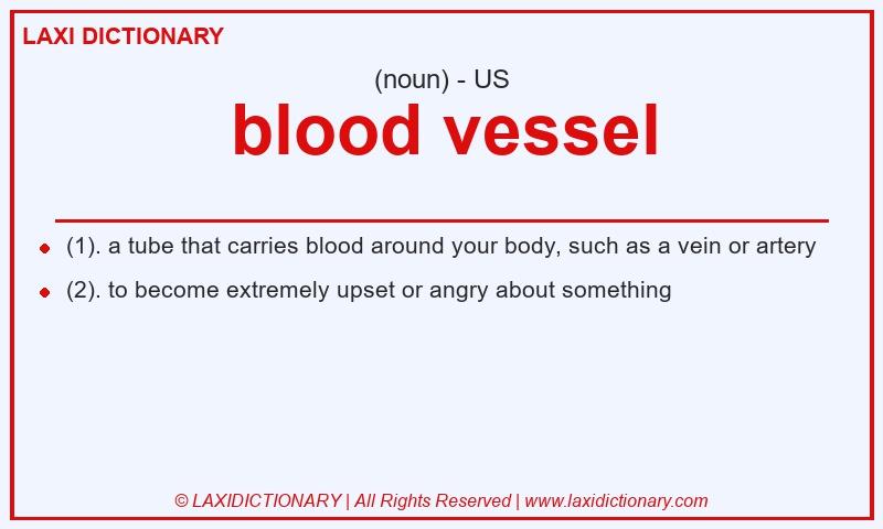 Definition blood vessel in American English