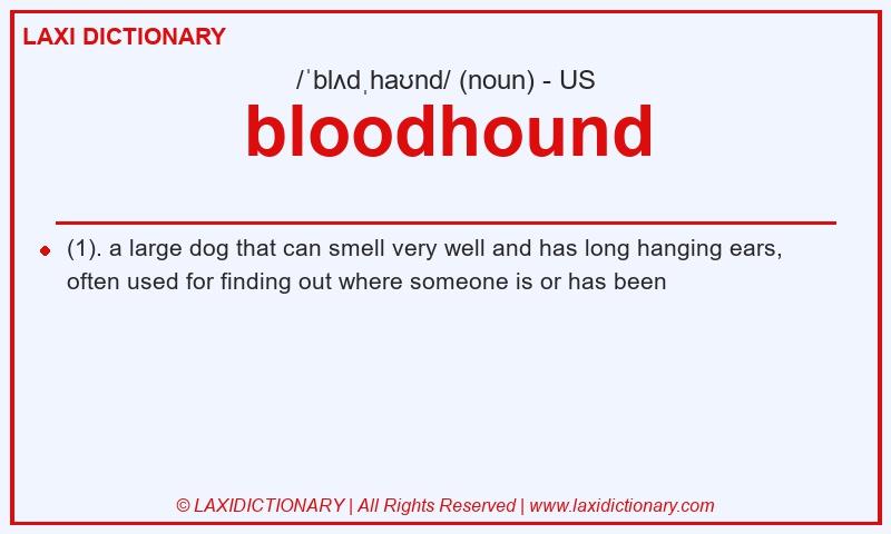 Definition bloodhound in American English