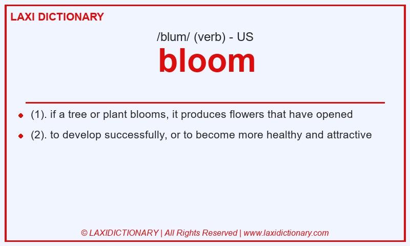 Definition bloom in American English