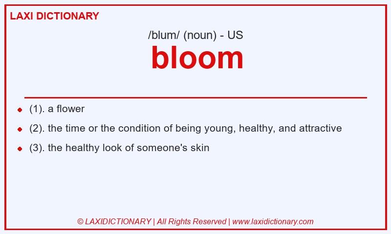 Definition bloom in American English