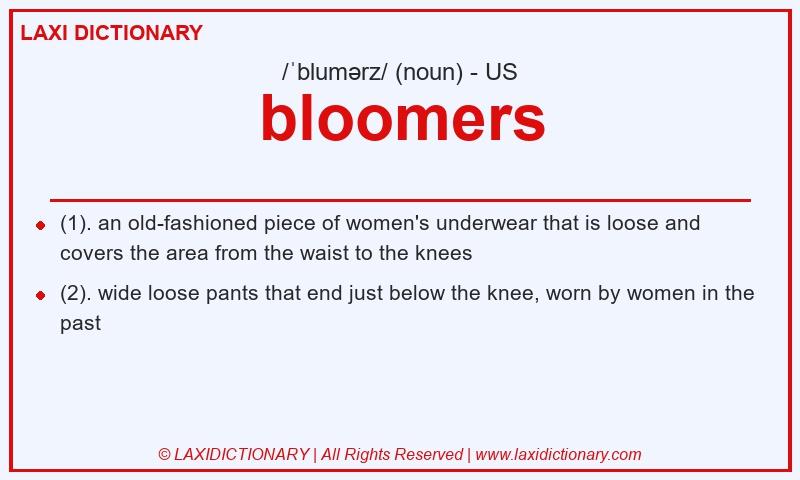 Definition bloomers in American English