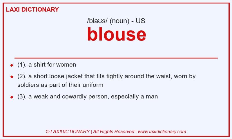 Definition blouse in American English