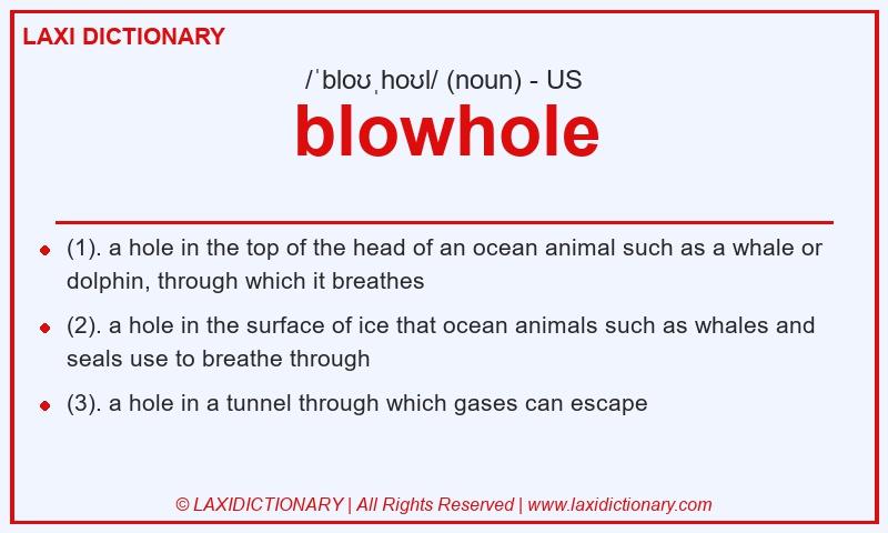 Definition blowhole in American English