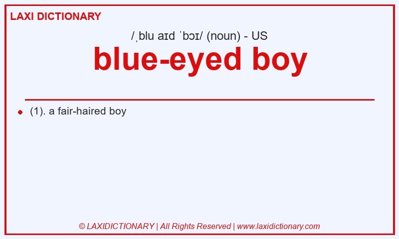 Definition blue-eyed boy in American English