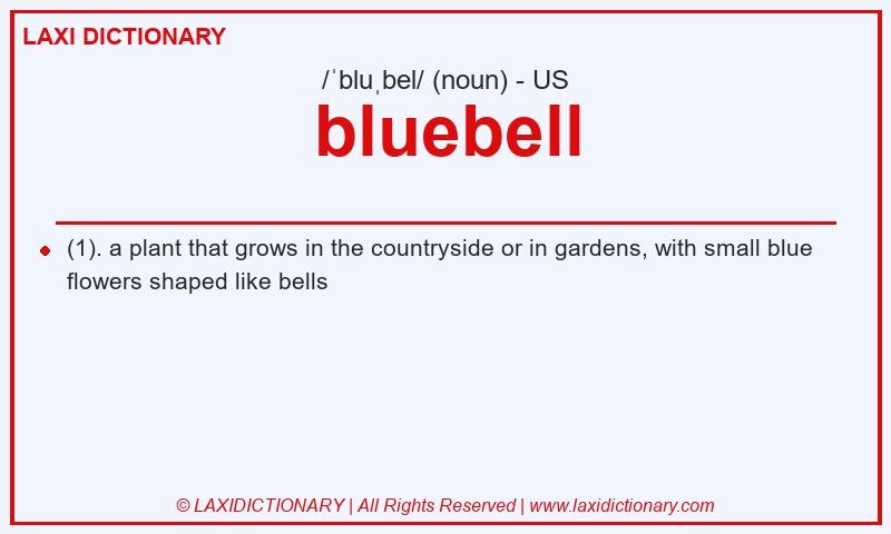 Definition bluebell in American English