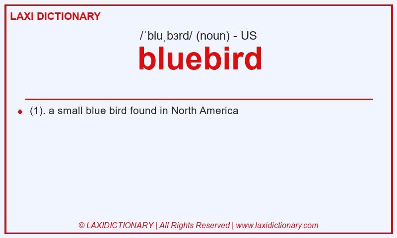 Definition bluebird in American English