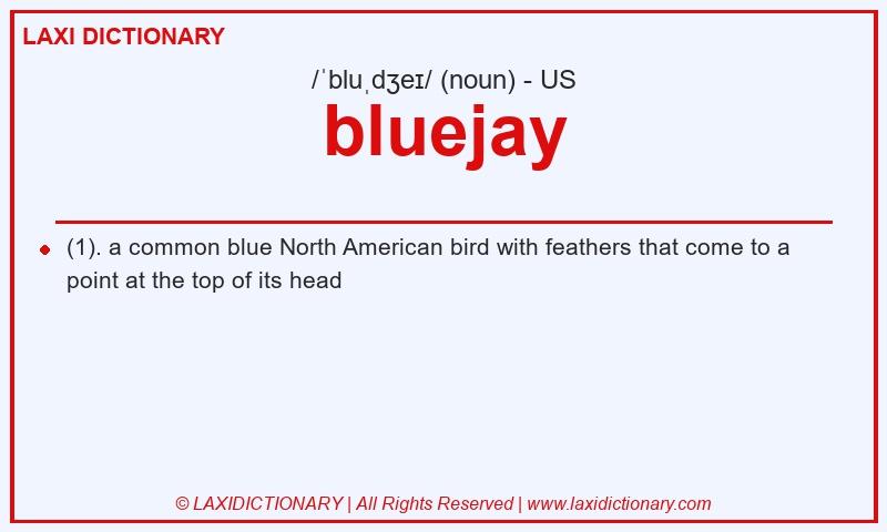 Definition bluejay in American English