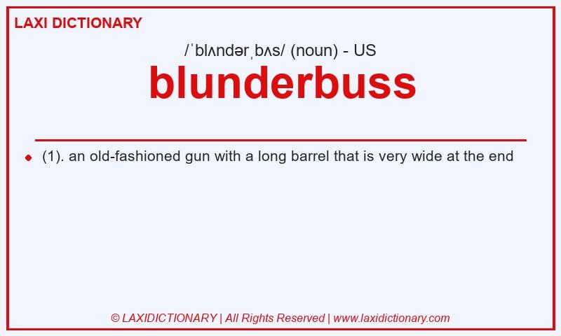 Definition blunderbuss in American English