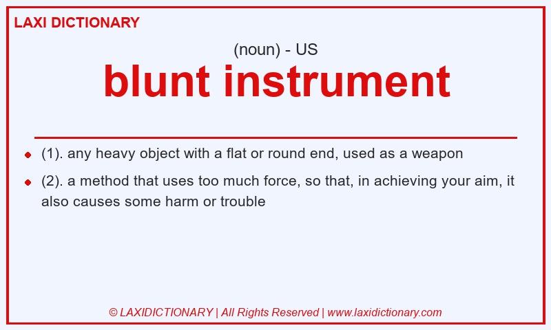 Definition blunt instrument in American English