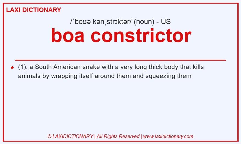 Definition boa constrictor in American English