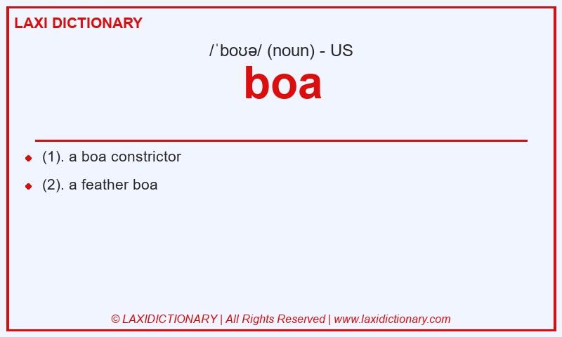 Definition boa in American English