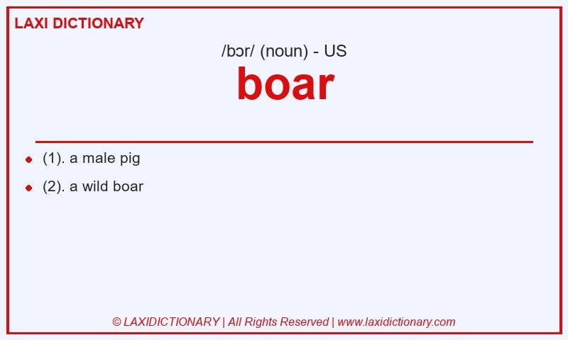 Definition boar in American English