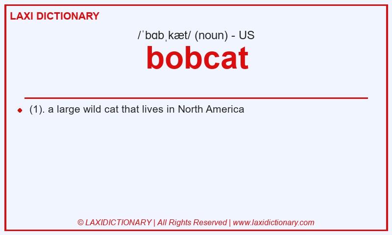 Definition bobcat in American English