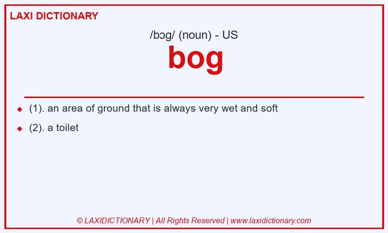 Definition bog in American English